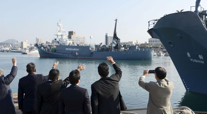 © Reuters. Frota baleeira japonesa vista no porto da cidade de Shimonoseki