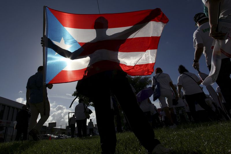 © Reuters. A protester holding a Puerto Rico's flag takes part in a march to improve healthcare benefits in San Juan