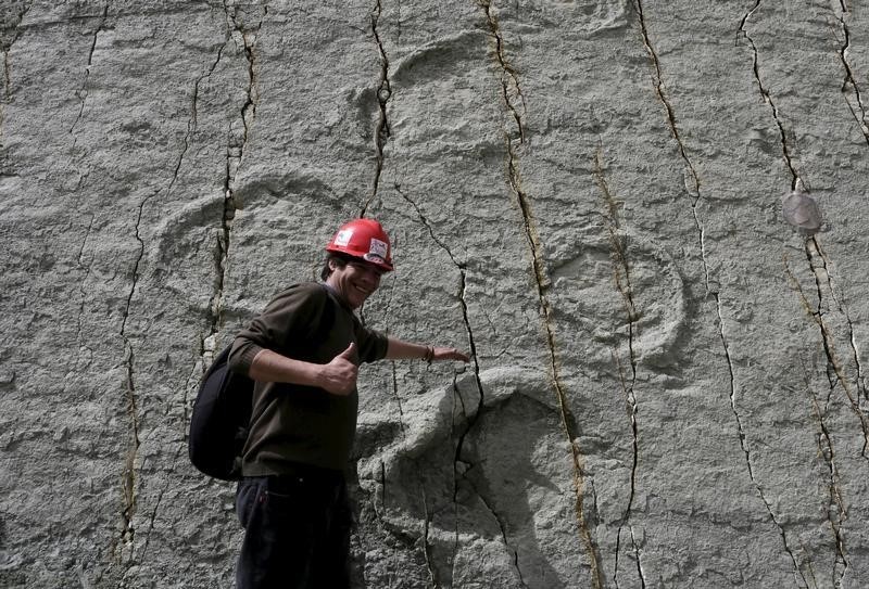 © Reuters. آثار أقدام الديناصورات تكشف اسرار نمط حياتها في العصر الجوراسي