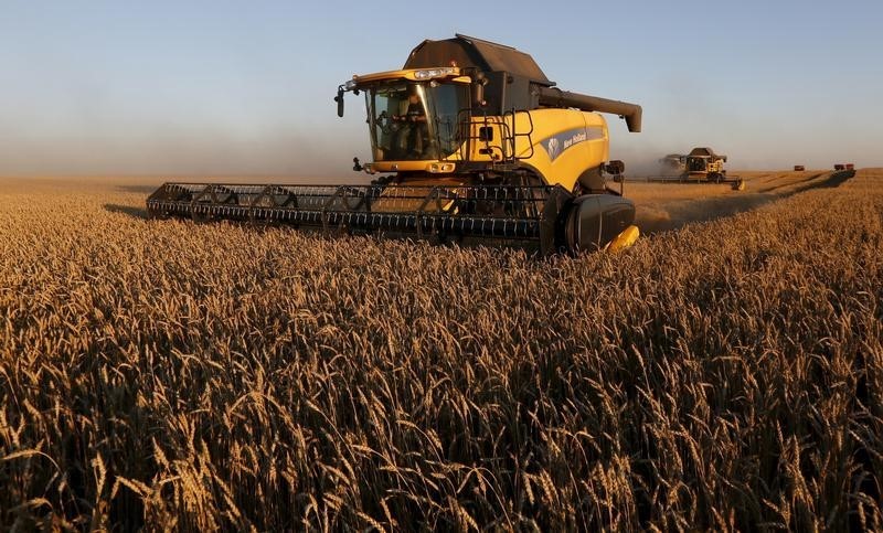 © Reuters. علماء: تجريف التربة يزيد من المخاطر المحدقة بالإنتاج الغذائي