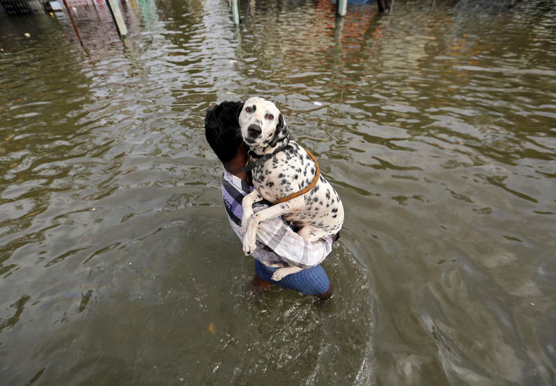 © Reuters.  Inundaciones dejan 14 muertos en un hospital del sur de la India