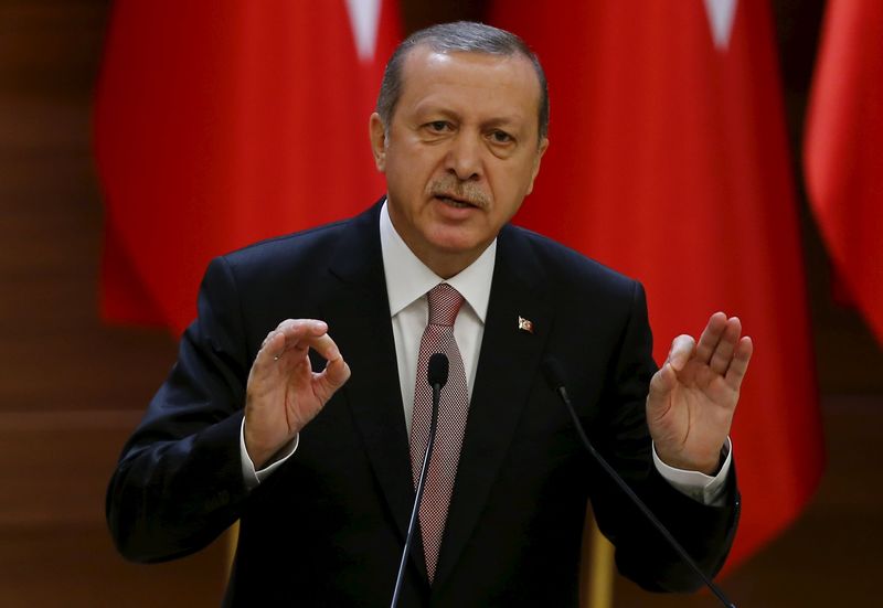 © Reuters. إردوغان: تركيا تصر على إقامة مناطق آمنة في شمال سوريا ودعم المعارضة المعتدلة