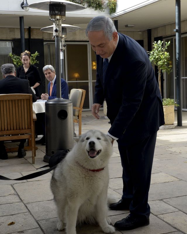 © Reuters. كلبة نتنياهو تعقر ضيوفه