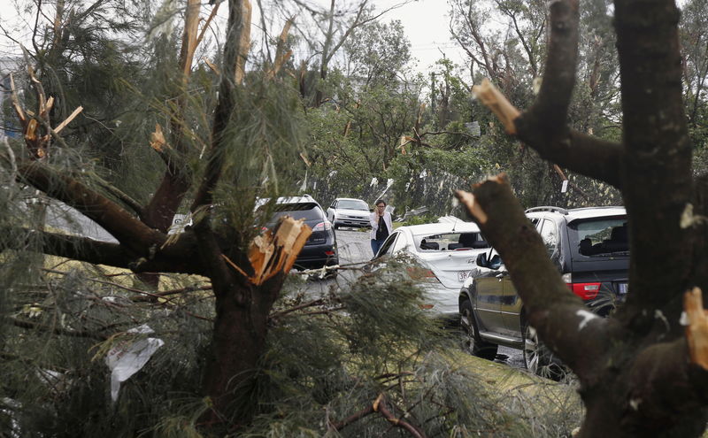 © Reuters. إعصار نادر يجتاح سيدني باستراليا ويلحق أضرارا بالمنتجعات