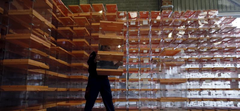 © Reuters. La cuenta atrás electoral pone en tensión a la deuda española 
