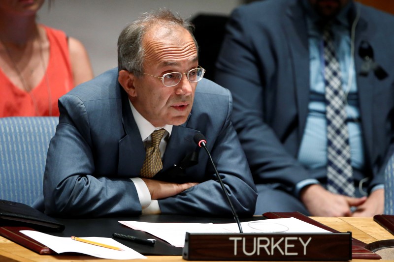 © Reuters. Cevik addresses the Security Council during a meeting about the situation in the Middle East, including Palestine, at United Nations headquarters in New York