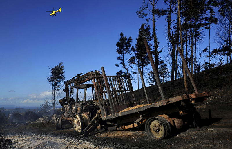 © Reuters. حرائق الغابات تجتاح شمال إسبانيا رغم الأمطار