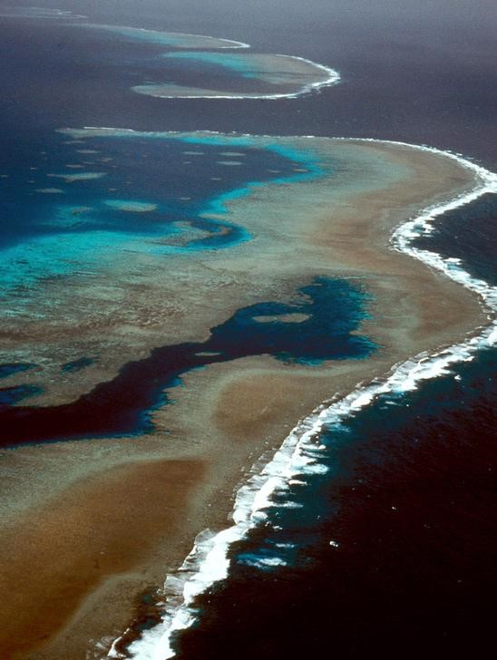 © Reuters. أستراليا توافق على مشروع للفحم قرب الحاجز المرجاني العظيم