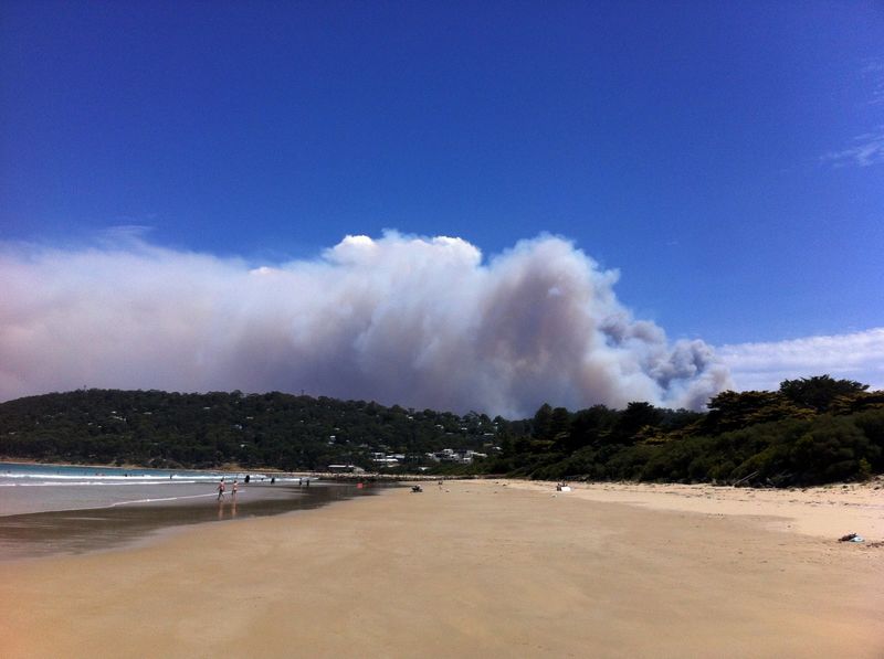 © Reuters. Smoke rises from a fast-moving bushfire near the Great Ocean Road in Victoria, Australia