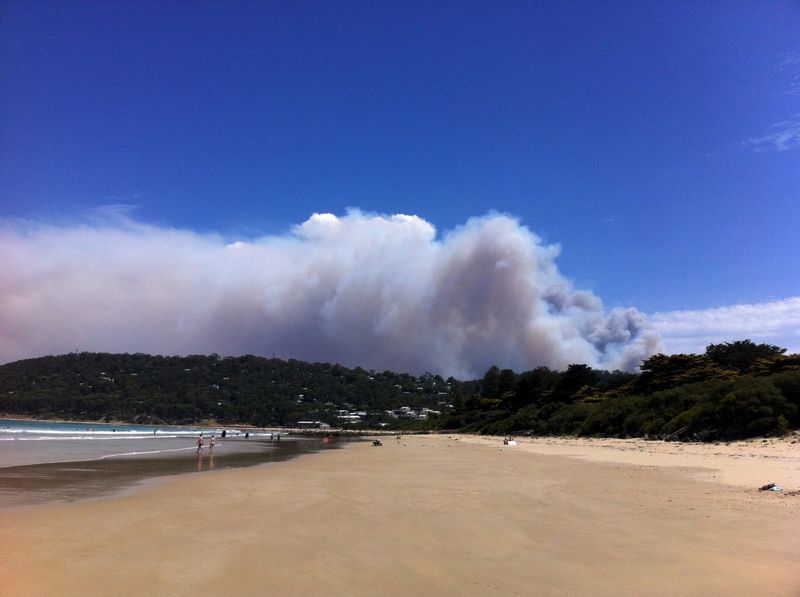 © Reuters. Incendio forestal cerca de la Gran Carretera del Océano, Victoria, Australia