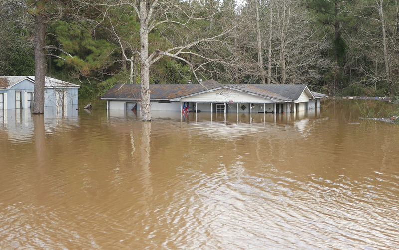 © Reuters. Casa é atingida por enchente em Elba, no Alabama