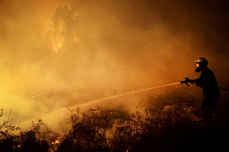 © Reuters. Incendios forestales queman el norte de España tras otoño de escasas lluvias