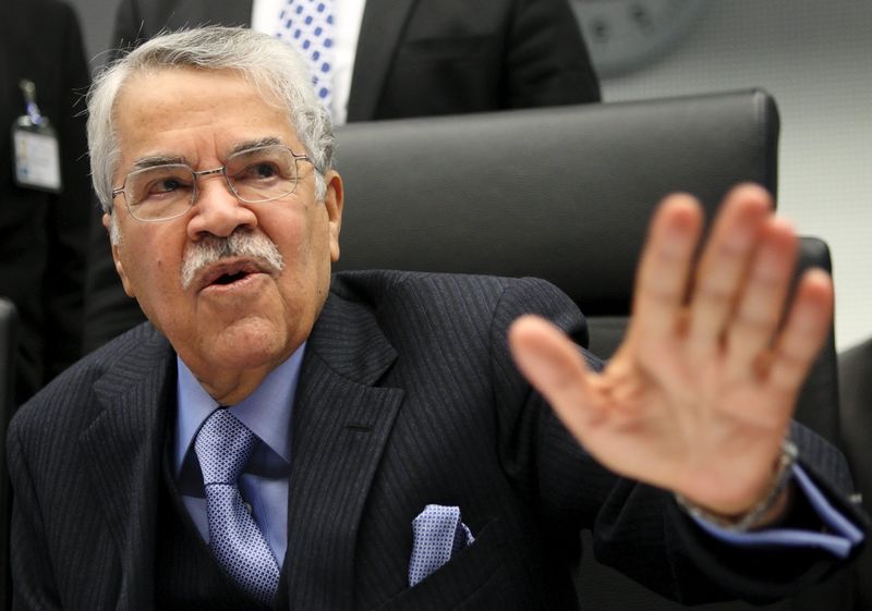 © Reuters. File picture of Saudi Arabian Oil Minister al-Naimi talking to journalists before a meeting of OPEC oil ministers at OPEC's headquarters in Vienna