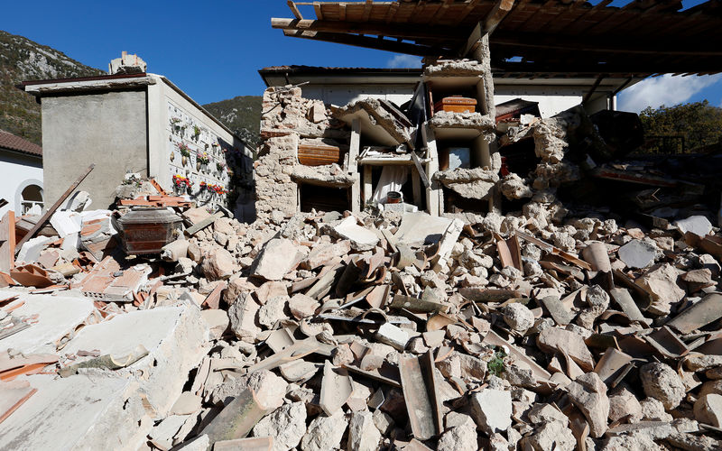 © Reuters. إنقاذ أيقونات مقدسة وكلب من تحت أنقاض زلزال إيطاليا