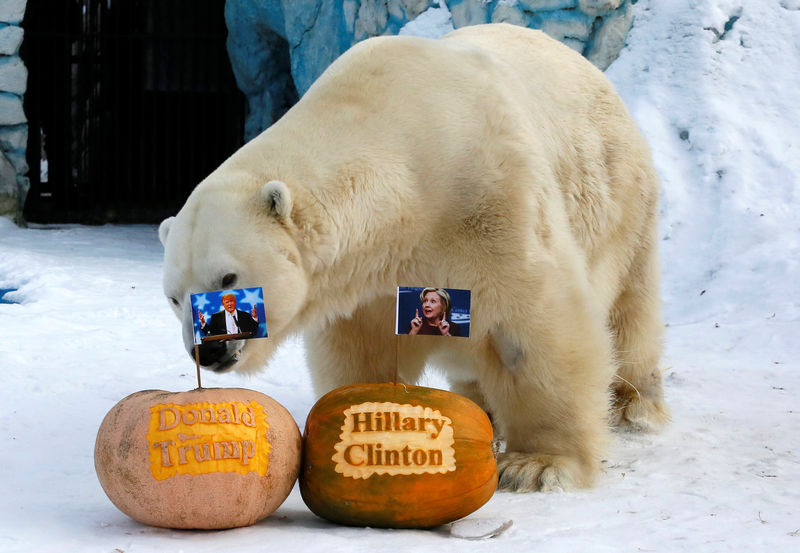 © Reuters. Polar bear Felix stands near pumpkins with portraits of U.S. presidential nominee Clinton as it predicts result of U.S. presidential election at Royev Ruchey zoo in Krasnoyarsk
