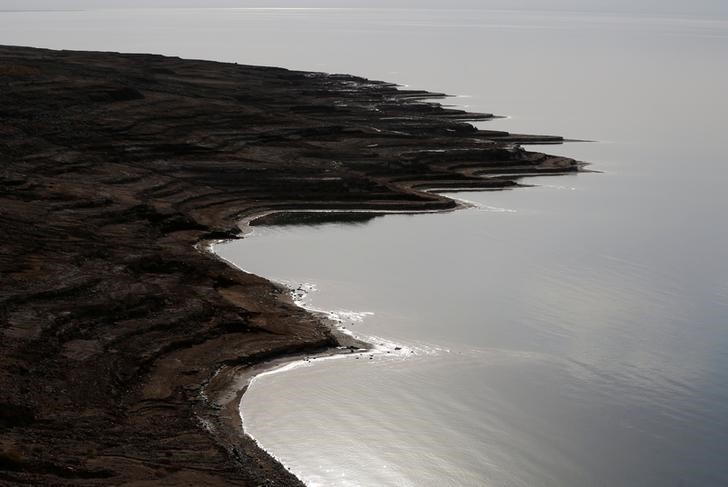 © Reuters. سباحون يعبرون البحر الميت لأول مرة في حملة بيئية