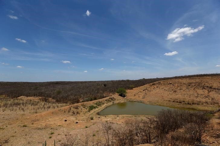 © Reuters. Lago visto em Salgueiro, semiárido pernambucano