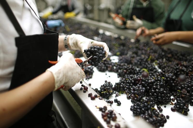 © Reuters. LA HAUSSE DE L'EMPLOI INTÉRIMAIRE RESTE SOLIDE EN OCTOBRE