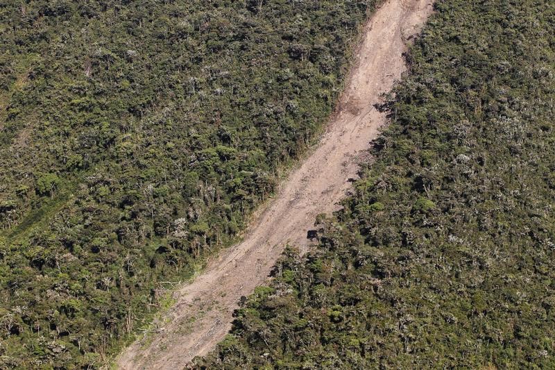 © Reuters. Incendios destruyen 22.000 hectáreas de bosques en la última semana en Perú