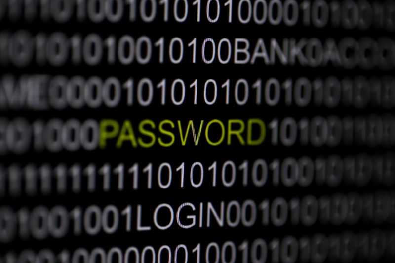 © Reuters. The word 'password' is pictured on a computer screen in this picture illustration taken in Berlin