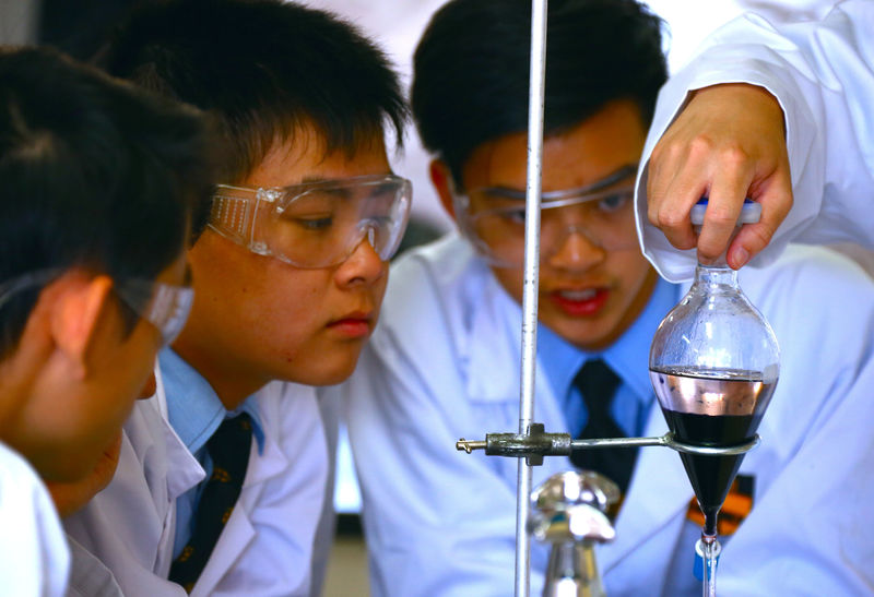 © Reuters. Chemistry students watch Christopher Lai place a glass container into a holder as they prepare to make the compound found in an anti-parasitic medicine used to treat malaria, called Daraprim, at Sydney Grammar School in Sydney