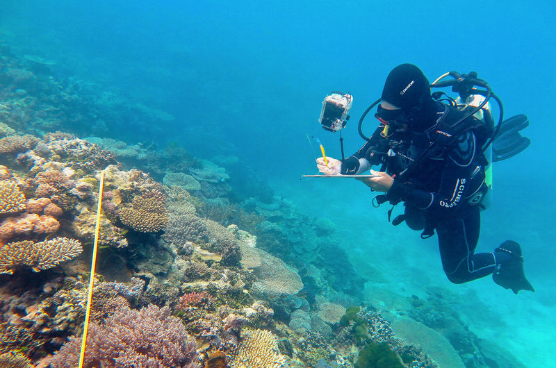 © Reuters. Pesquisador visto na Grande Barreira de Coral, Austrália