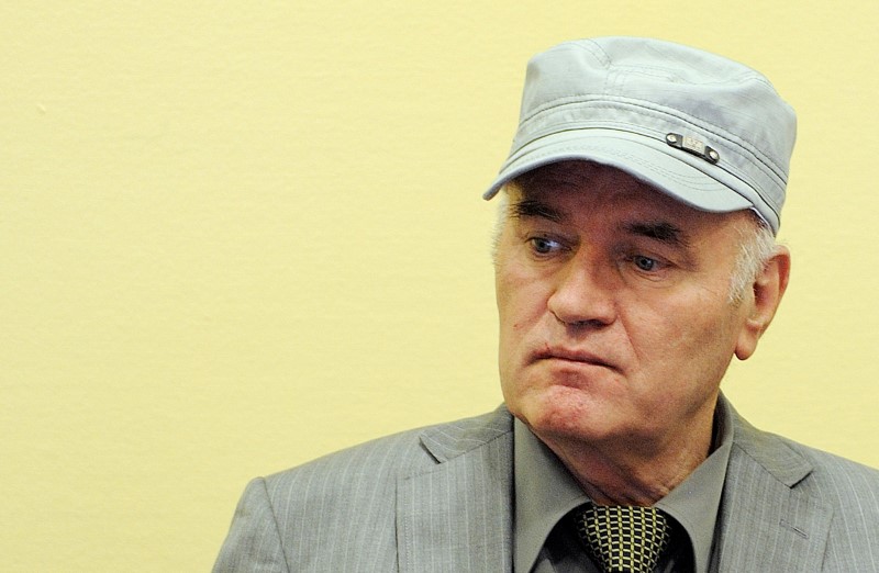 © Reuters. Former Bosnian Serb commander Ratko Mladic appears in court in the Hague