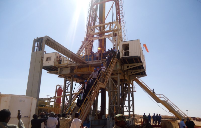 © Reuters. Engineers and visitors explore an exploratory well near Dharoor town