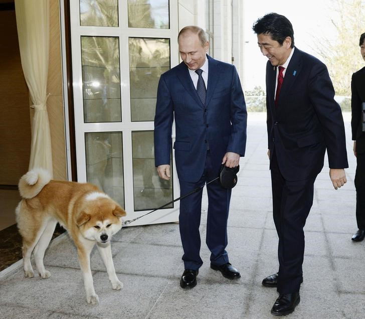 © Reuters. روسيا ترفض "كلبا" اعتزمت اليابان إهداءه لبوتين