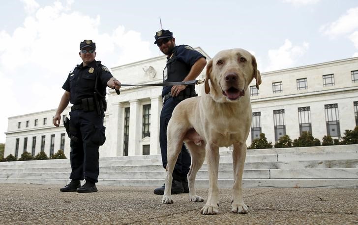 © Reuters. Canine patrol the Federal Reserve in Washington