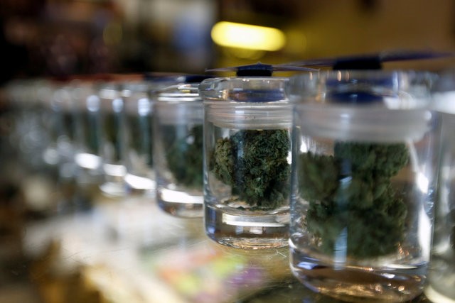 © Reuters. FILE PHOTO - A variety of medicinal marijuana buds in jars are pictured at Los Angeles Patients & Caregivers Group dispensary in West Hollywood