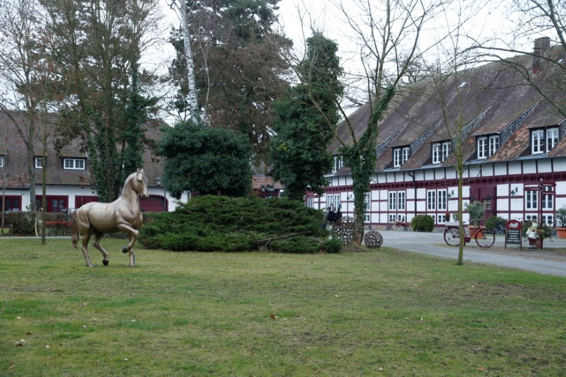 © Reuters. An outside view of the equestrian sports farm "Reitsportanlage Jaegerhof" in Biblis