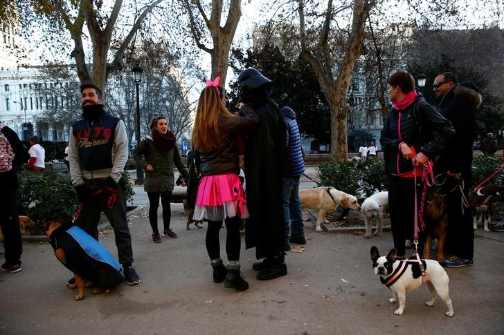 © Reuters. سباق للكلاب في مدريد للترويج لتبني الحيوانات الأليفة
