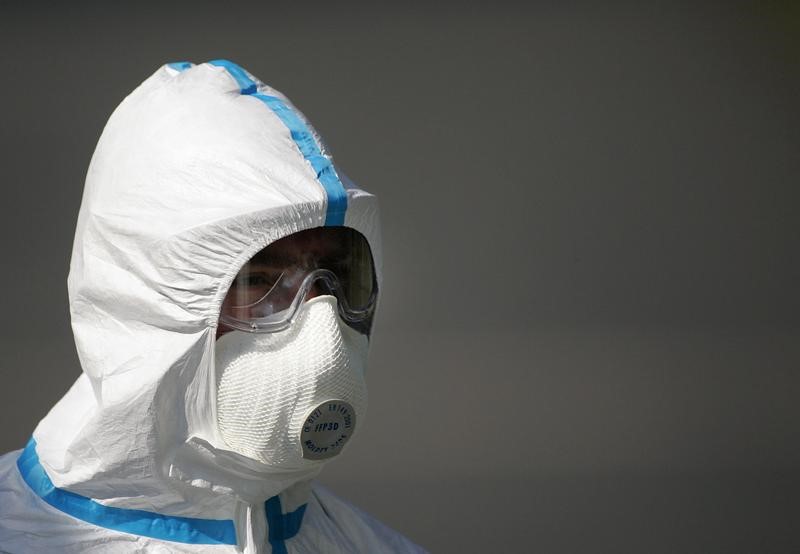 © Reuters. ألمانيا تعدم مزيدا من الديوك الرومية بعد تفشي أنفلونزا الطيور