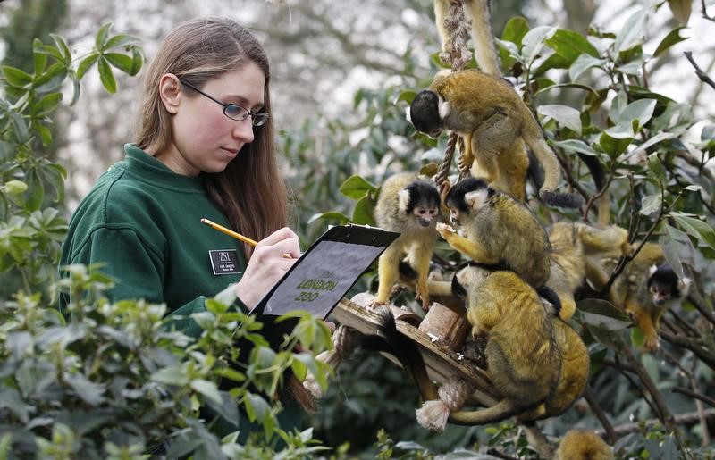 © Reuters. حديقة حيوان بلندن تبدأ الجرد السنوي لحيواناتها