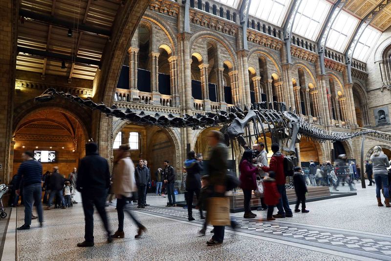 © Reuters. Visitors look a Dippy the diplodocus at the Natural History Museum in London