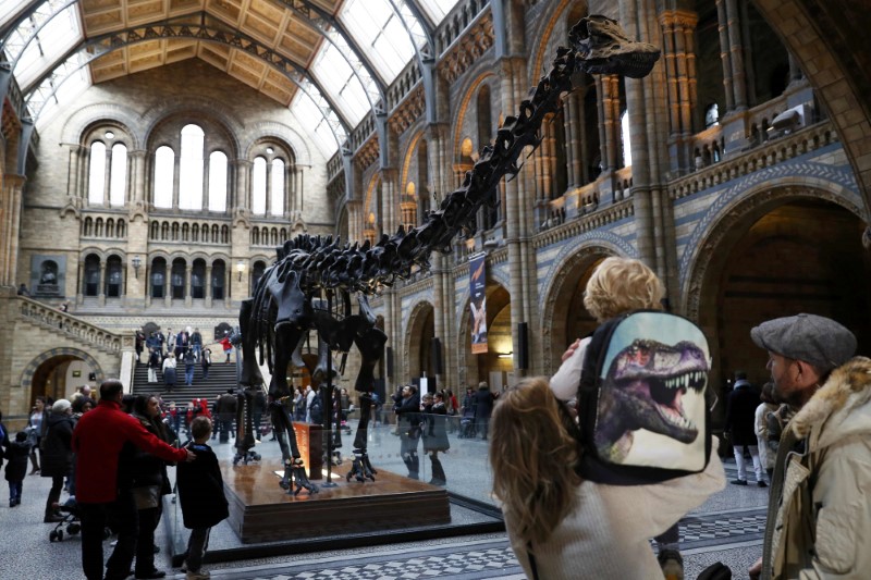 © Reuters. Visitantes observam o dinossauro Dippy no Museu de História Natural de Londres