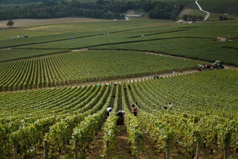 © Reuters. LE PROPRIÉTAIRE D'ARSENAL S'OFFRE UN GRAND DOMAINE DE BOURGOGNE