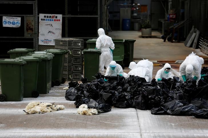 © Reuters. هونج كونج تؤكد ثاني وفاة نتيجة إنفلونزا الطيور إتش7إن9