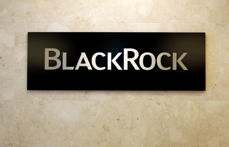 © Reuters. BlackRock logo is seen at the BlackRock Japan headquarters in Tokyo