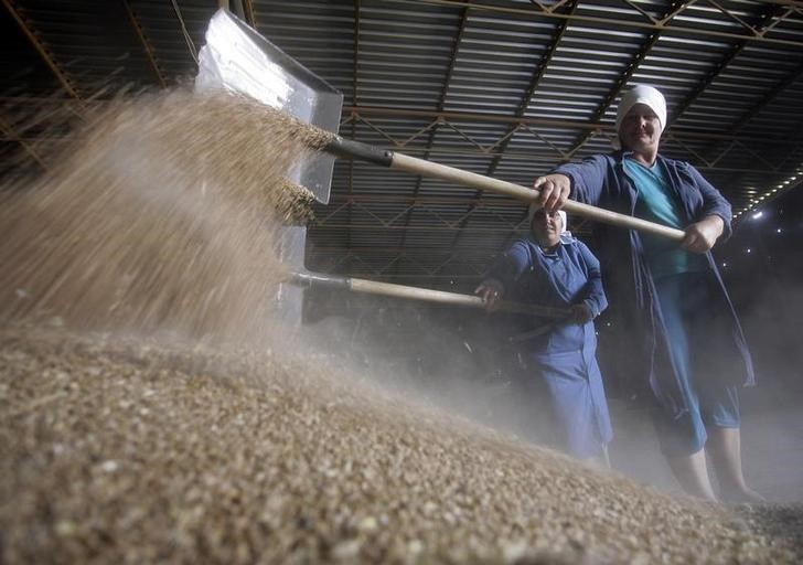 © Reuters. Работники собирают зерно в хранилище, принадлежащем хозяйству "Победа"