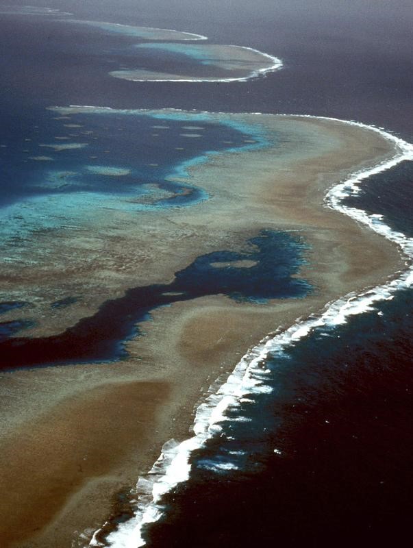 © Reuters. أستراليا تتحرى وجود فحم قرب الحاجز المرجاني العظيم