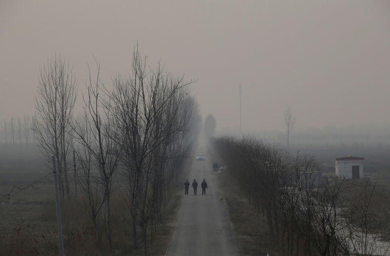 © Reuters. FILE PHOTO: People walk along a village road on a polluted day on the outskirts of Langfang