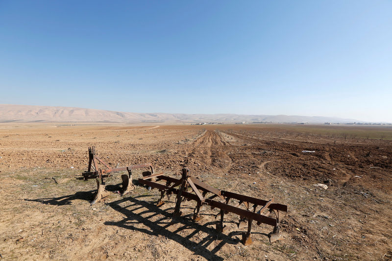 © Reuters. Parts of a bulldozer are seen at a farm in the town of Basheeqa