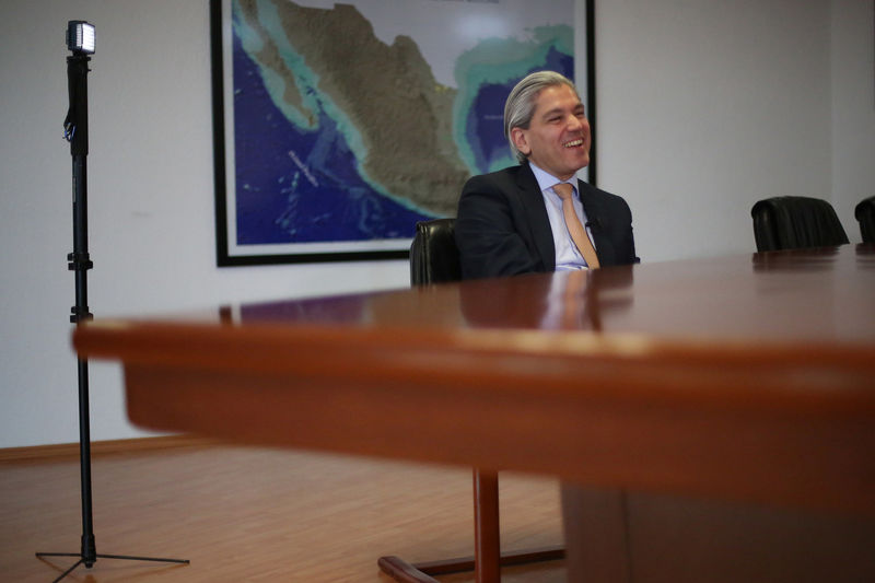 © Reuters. Aldo Flores, Mexico's deputy energy minister for hydrocarbons, smiles during an interview in Mexico City