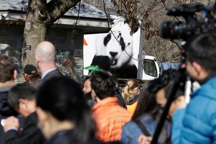 © Reuters. Pessoas observam saída da panda Bao Bao para sua nova casa na China