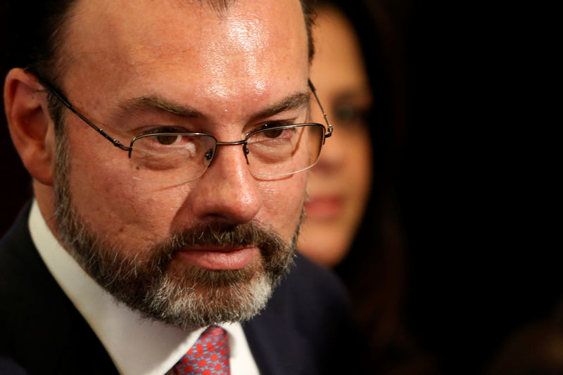 © Reuters. Mexico's Foreign Minister Luis Videgaray is seen during a meeting between Mexico and the United Nations on human rights in Mexico City