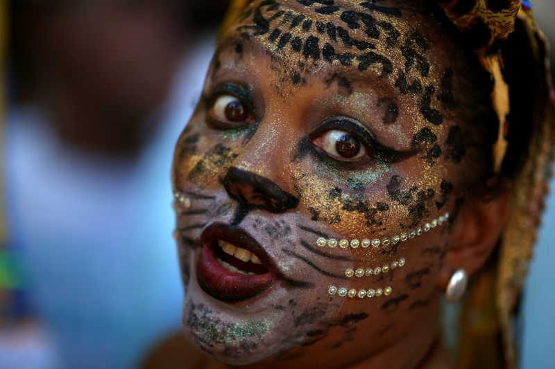 © Reuters. A reveller takes part in the annual block party Cordao de Boitata during pre-carnival festivities in Rio de Janeiro