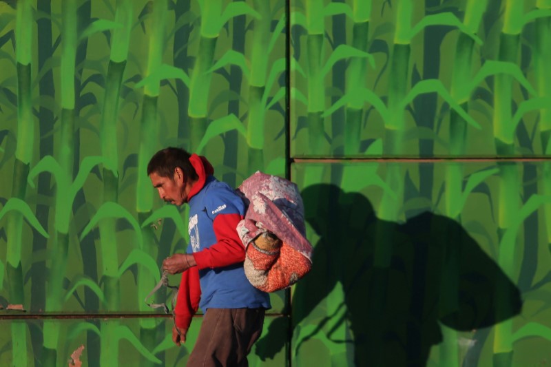 © Reuters. A migrant walks as he carries a blanket on his back in Tijuana