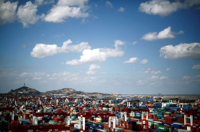 © Reuters. FILE PHOTO: A container area is seen at the Yangshan Deep Water Port, part of the newly announced Shanghai Free Trade Zone, south of Shanghai